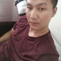左木木
