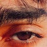 ابو عادل