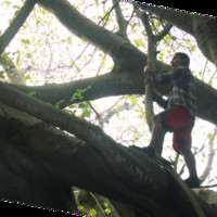 N. Daniel Castaño Ramirez