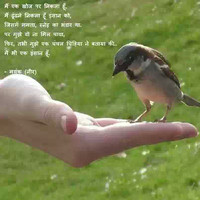 Mr Varma