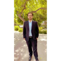 Muhammad Shehryar Wattoo