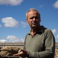 Pablo Borrelli