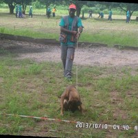 Mohamed Beyene