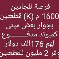 ahmed selim