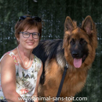 Brigitte Schins