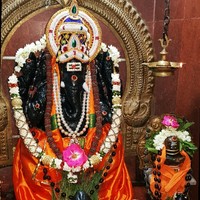 Anand Krish