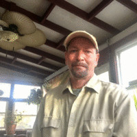 Bob Bakley