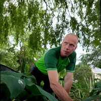 Henk Dasselaar