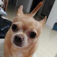刘兴龙