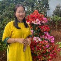 Nguyễn Dung
