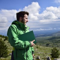 Davide Di Zio
