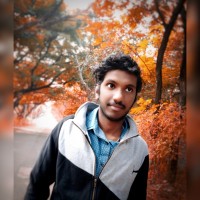 Raviteja Ramisetty