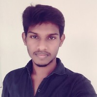 Saravanakumar L