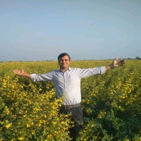 MK PATEL