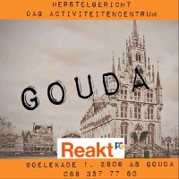 Reakt Gouda