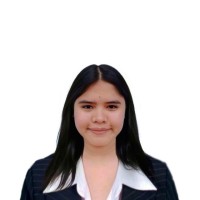 Honey Joy Lapiz