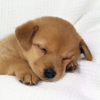 Arancha García Morais