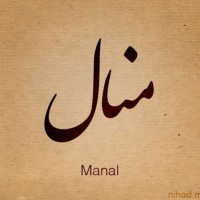 Syed Manaal