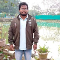 Chandraprakash Maurya