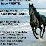 Brayan Garsia Fuentes