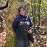 Amarilis Putri