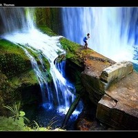 shernette stephenson