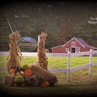 Sandy Craig