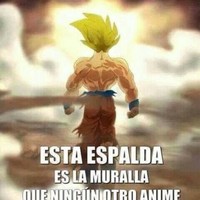 Jose Pinargote