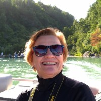 Maria Dusolina Rovina Castro Pereira