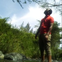 stephen Muthee