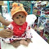 Sankar Sabar