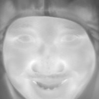 Steven Kan