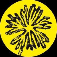 Eranthis Paysagiste