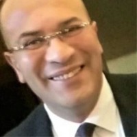 Wael M. El-Khouly