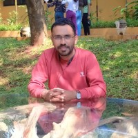 Yogesh Kadu