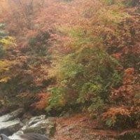 曾建刚