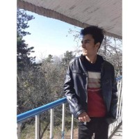 Shahrukh Khan - SEO Expert