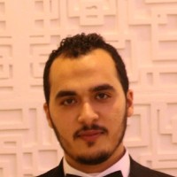 Mohamed Fouad Pmp®Pmi,Rmp®Pmi
