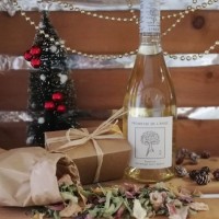 CELINE DE VOCHT DOLE