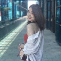 Ludan Wang