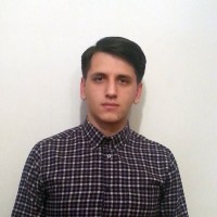Liviu Gabriel Banica