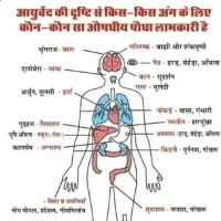 Ayurvedic Rastra Mantra Of Hinduism
