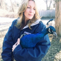 Renee Dash