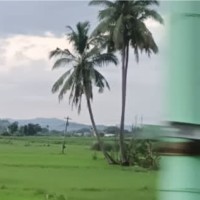 Maha Lakshmi