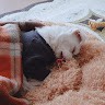 박용성