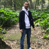 Hamid Arab