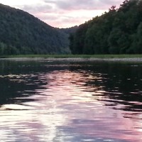 Dawn Wolfgang