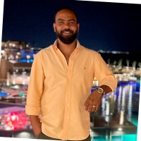 SHADY ALAA ALI