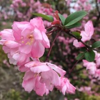 刘鑫坤