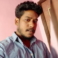 Bharathidasan P